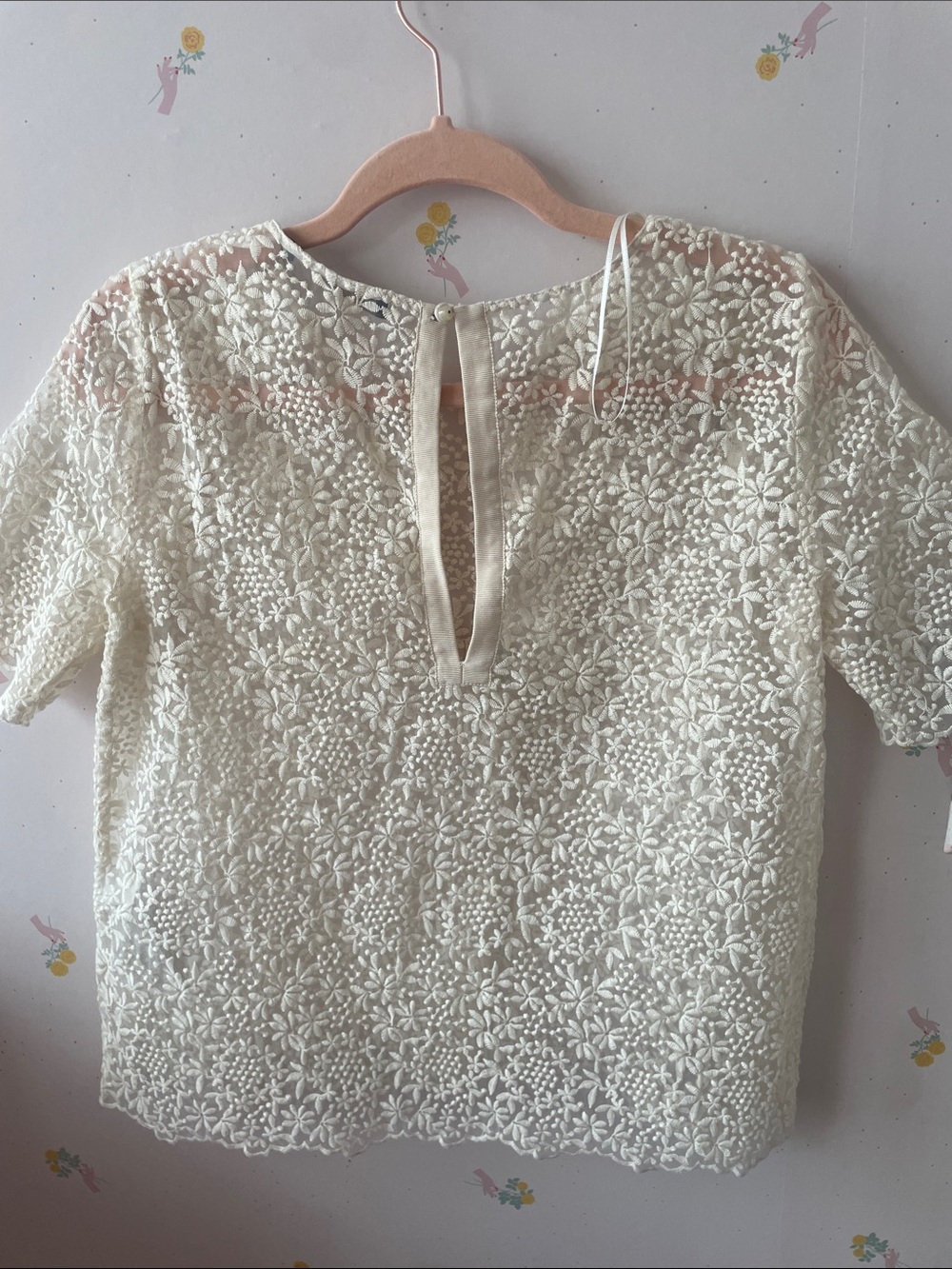 Zara Cream Floral Lace Short Sleeve Blouse - Picture 2 of 3